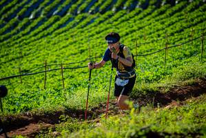 BIB: 
                            <button type="button" onclick="openModal(19160432)" class="btn btn-primary btn-sm float-right btn-popup" data-toggle="modal" data-target=".modal-high-quality">
                        <i class="fas fa-shopping-cart"></i> Add to Cart
                    </button>
                                            <button type="button" onclick="isThisMe(19160432, true)" class="btn btn-success btn-sm float-right btn-popup btn-isme hidden" data-toggle="tooltip" data-placement="bottom" title="นี่คือรูปของคุณใช่ไหม คลิกที่นี่เพื่อเอาเข้าอัลบั้ม">
                        <i class="fas fa-plus"></i> Add to album
                    </button>
                    <button type="button" onclick="isThisMe(19160432, false)" class="btn btn-warning btn-sm float-right btn-popup btn-isnotme hidden">
                        <i class="fas fa-ban"></i> Remove from album
                    </button>